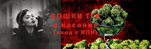 гидра Осинники