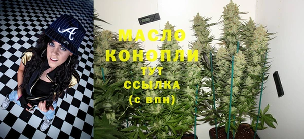 гидра Осинники