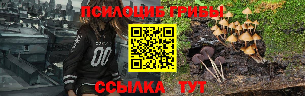 Галлюциногенные грибы Magic Shrooms Зеленокумск