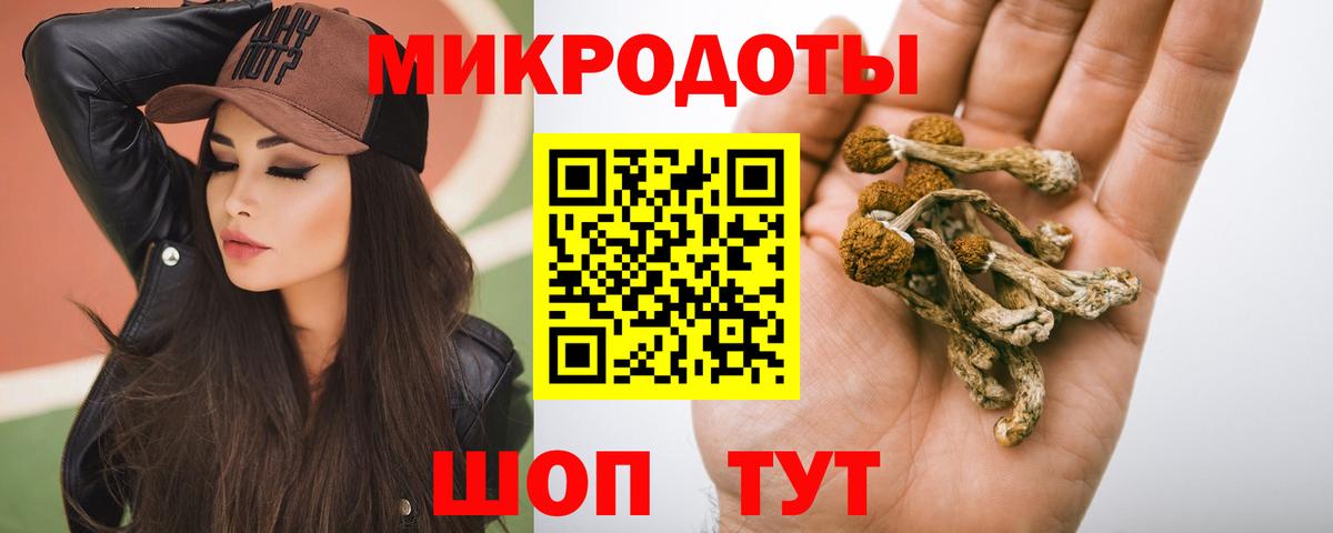 Зеленокумск  как найти наркотики  Вход с VPN  Галлюциногенные грибы Cubensis  Псилоцибиновые грибы Cubensis 