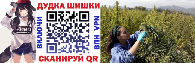 Конопля SATIVA & INDICA  Зеленокумск 